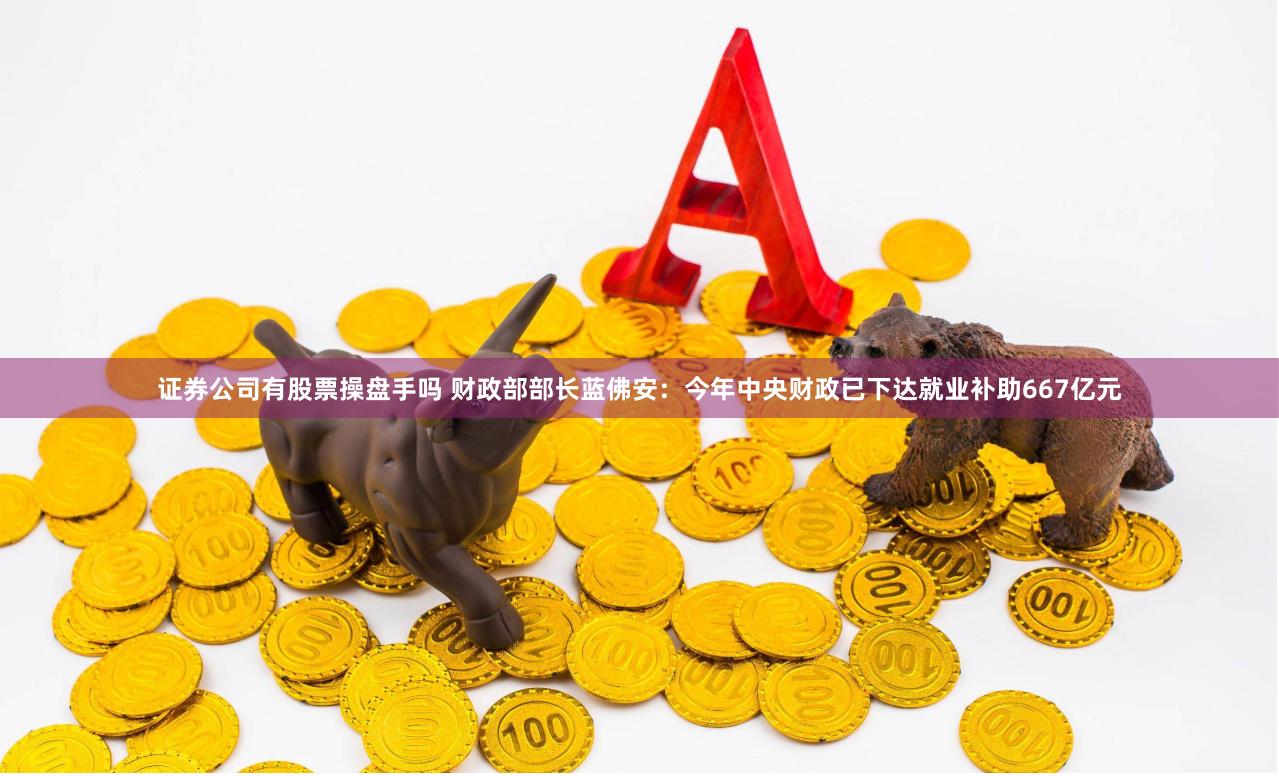 证券公司有股票操盘手吗 财政部部长蓝佛安：今年中央财政已下达就业补助667亿元
