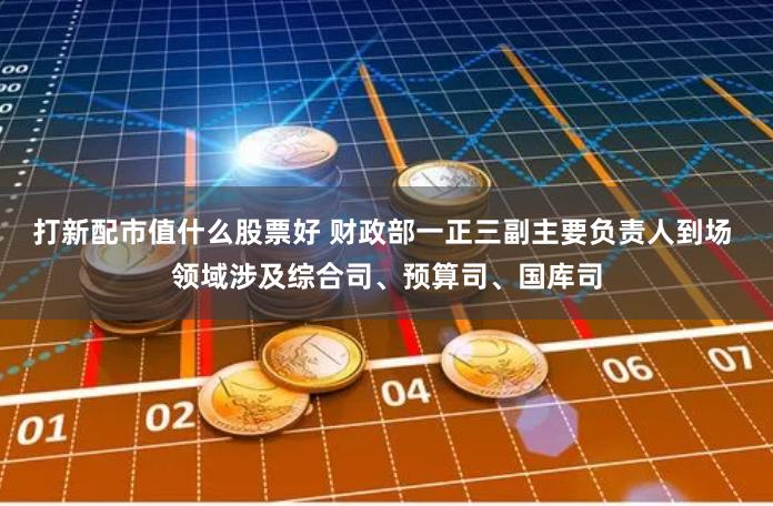 打新配市值什么股票好 财政部一正三副主要负责人到场 领域涉及综合司、预算司、国库司
