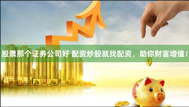 股票那个证券公司好 配资炒股就找配资，助你财富增值！