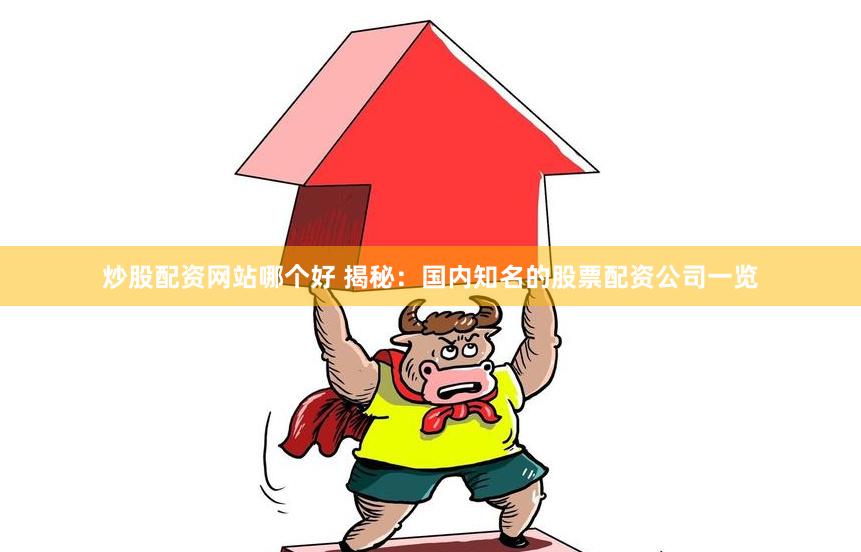 炒股配资网站哪个好 揭秘：国内知名的股票配资公司一览